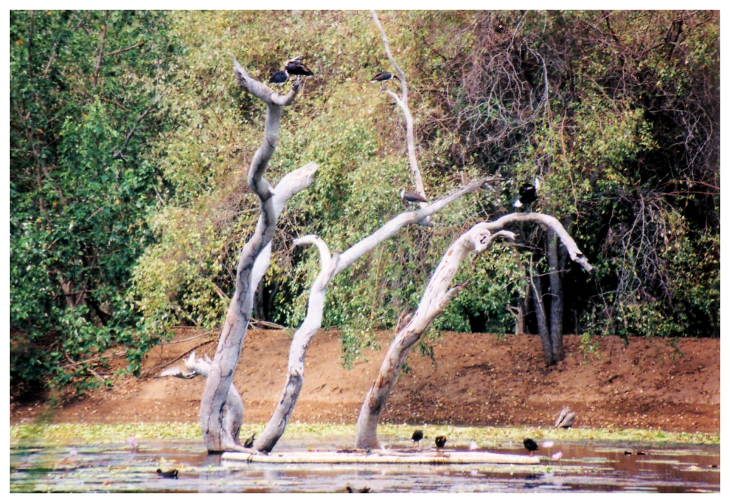 04 - Queensland (28).jpg